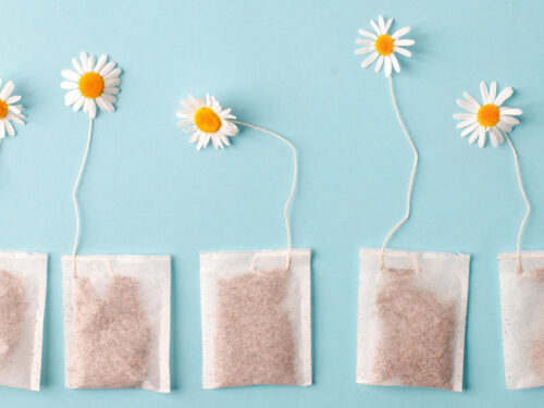 How To Grow a Garden with Your Used Tea Bags